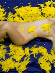 Mellow Yellow Pic 1