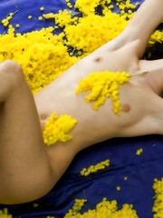 Mellow Yellow Pic 5