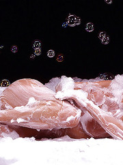 Playboy girl Heather Kozar Pic 11