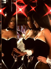 Gorgeous Cottontails Patti McGuire Pic 8